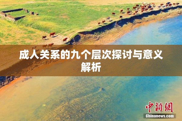 成人关系的九个层次探讨与意义解析