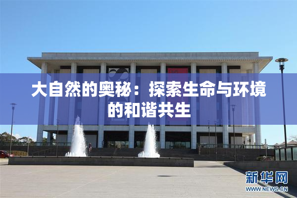 大自然的奥秘：探索生命与环境的和谐共生