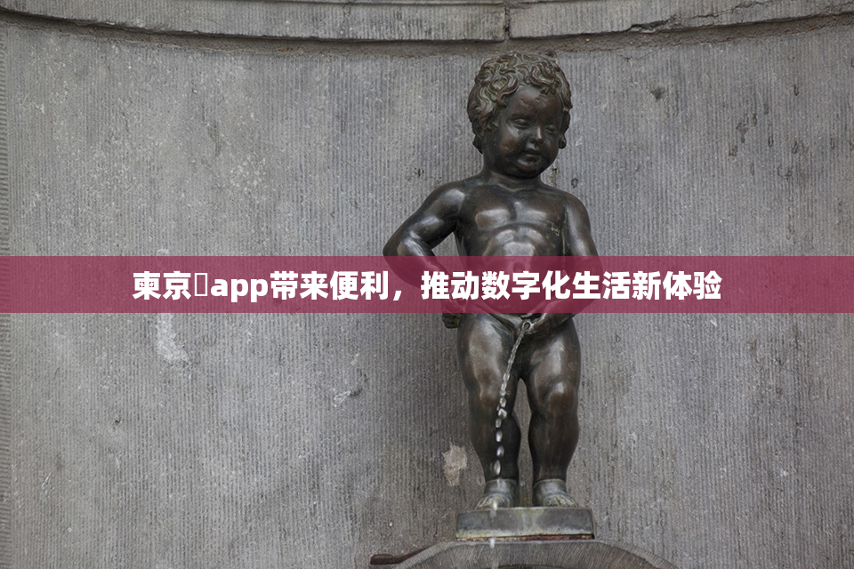 柬京埶app带来便利，推动数字化生活新体验