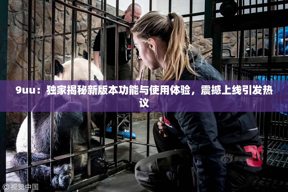 9uu：独家揭秘新版本功能与使用体验，震撼上线引发热议