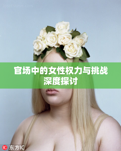 官场中的女性权力与挑战深度探讨