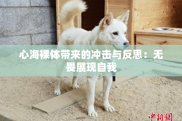 心海裸体带来的冲击与反思：无畏展现自我