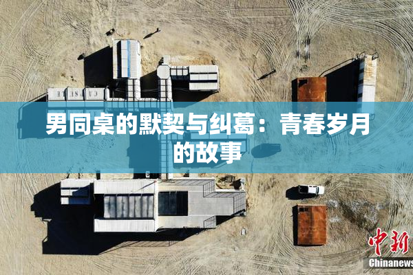 男同桌的默契与纠葛：青春岁月的故事