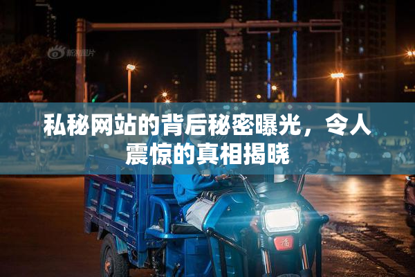 私秘网站的背后秘密曝光，令人震惊的真相揭晓