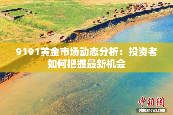 9191黄金市场动态分析：投资者如何把握最新机会