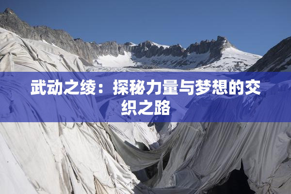 武动之绫：探秘力量与梦想的交织之路