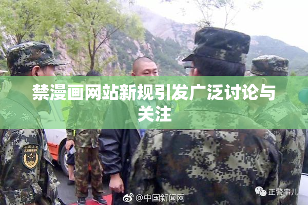 禁漫画网站新规引发广泛讨论与关注