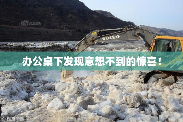 办公桌下发现意想不到的惊喜！