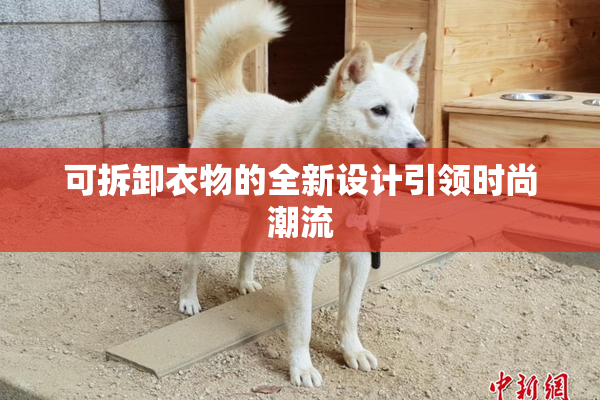 可拆卸衣物的全新设计引领时尚潮流