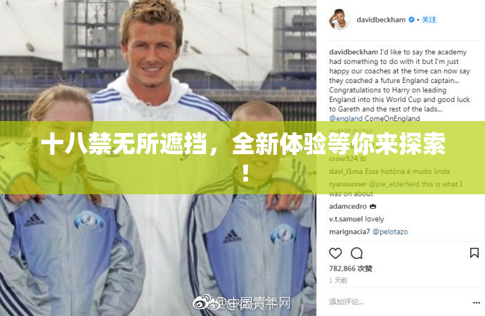 十八禁无所遮挡，全新体验等你来探索！