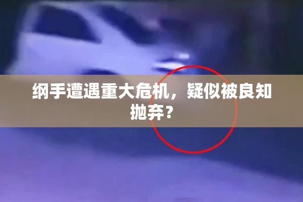 纲手遭遇重大危机，疑似被良知抛弃？