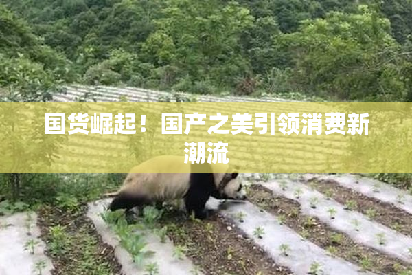 国货崛起！国产之美引领消费新潮流