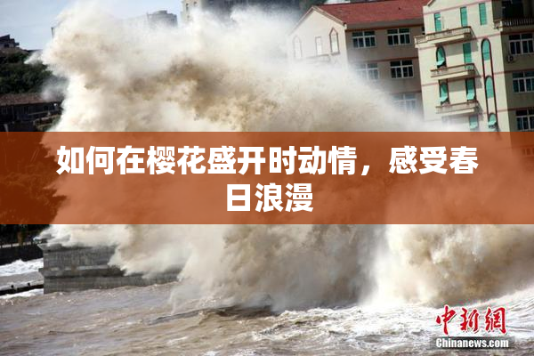 如何在樱花盛开时动情，感受春日浪漫