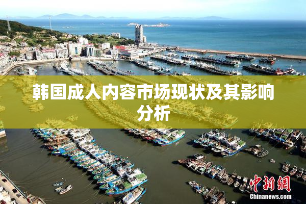 韩国成人内容市场现状及其影响分析