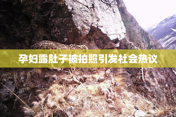 孕妇露肚子被拍照引发社会热议