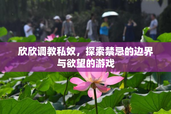欣欣调教私奴，探索禁忌的边界与欲望的游戏