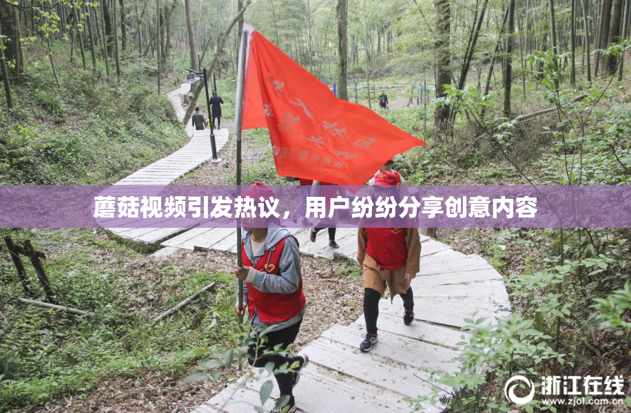 蘑菇视频引发热议，用户纷纷分享创意内容