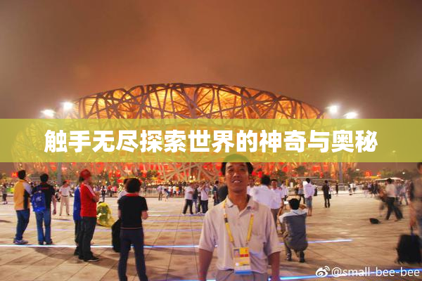 触手无尽探索世界的神奇与奥秘