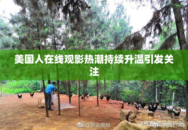 美国人在线观影热潮持续升温引发关注