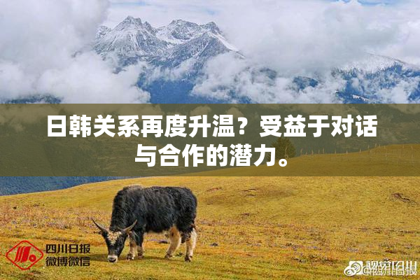 日韩关系再度升温？受益于对话与合作的潜力。