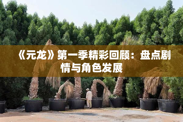 《元龙》第一季精彩回顾：盘点剧情与角色发展