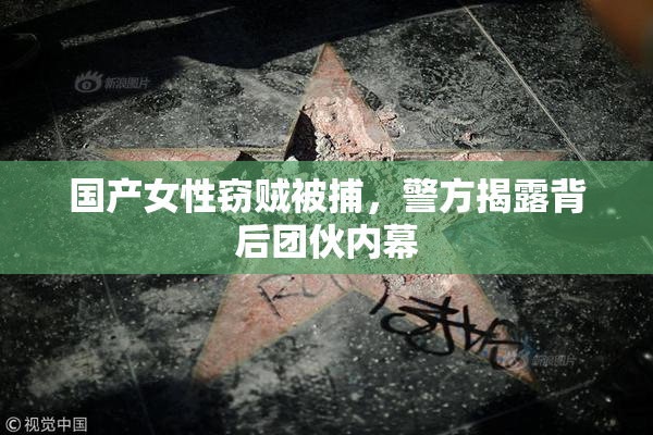 国产女性窃贼被捕，警方揭露背后团伙内幕