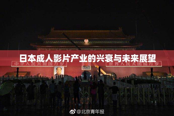 日本成人影片产业的兴衰与未来展望