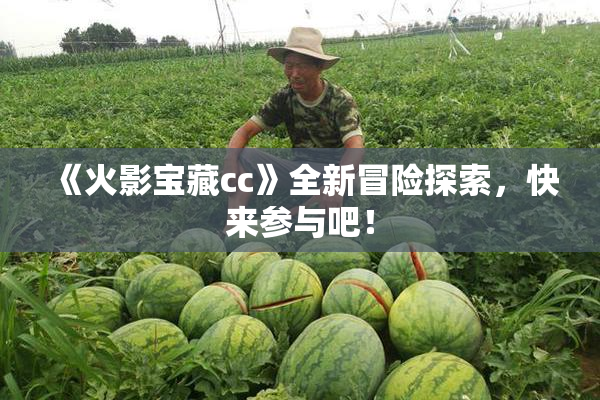 《火影宝藏cc》全新冒险探索，快来参与吧！