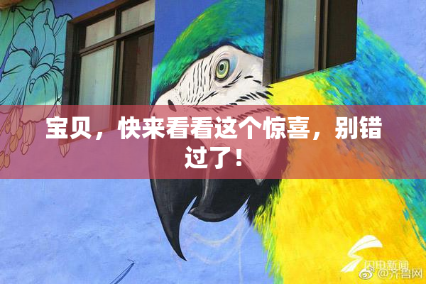 宝贝，快来看看这个惊喜，别错过了！