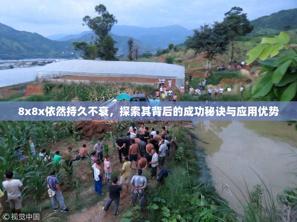 8x8x依然持久不衰，探索其背后的成功秘诀与应用优势