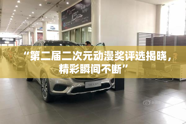 “第二届二次元动漫奖评选揭晓，精彩瞬间不断”