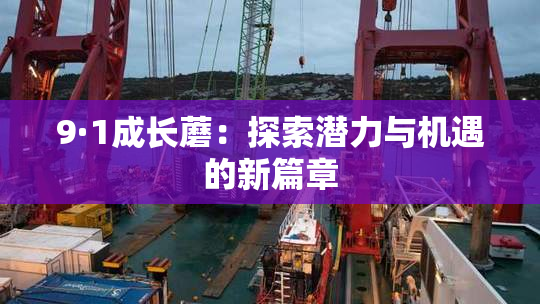 9·1成长蘑：探索潜力与机遇的新篇章