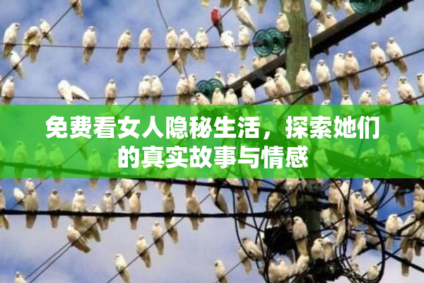 免费看女人隐秘生活，探索她们的真实故事与情感