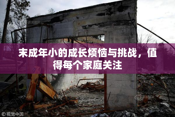 末成年小的成长烦恼与挑战，值得每个家庭关注