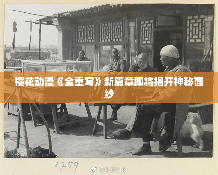 樱花动漫《全重写》新篇章即将揭开神秘面纱