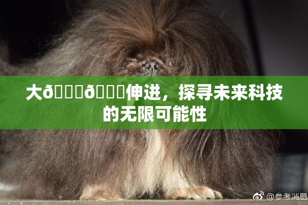 大🐔🐔伸进，探寻未来科技的无限可能性