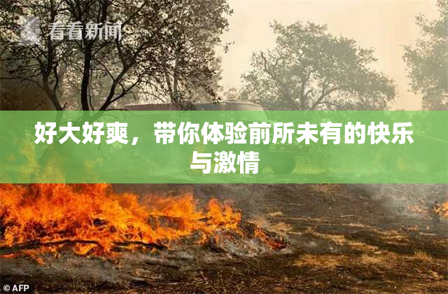 好大好爽，带你体验前所未有的快乐与激情