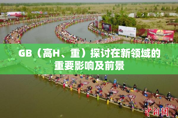 GB（高H、重）探讨在新领域的重要影响及前景