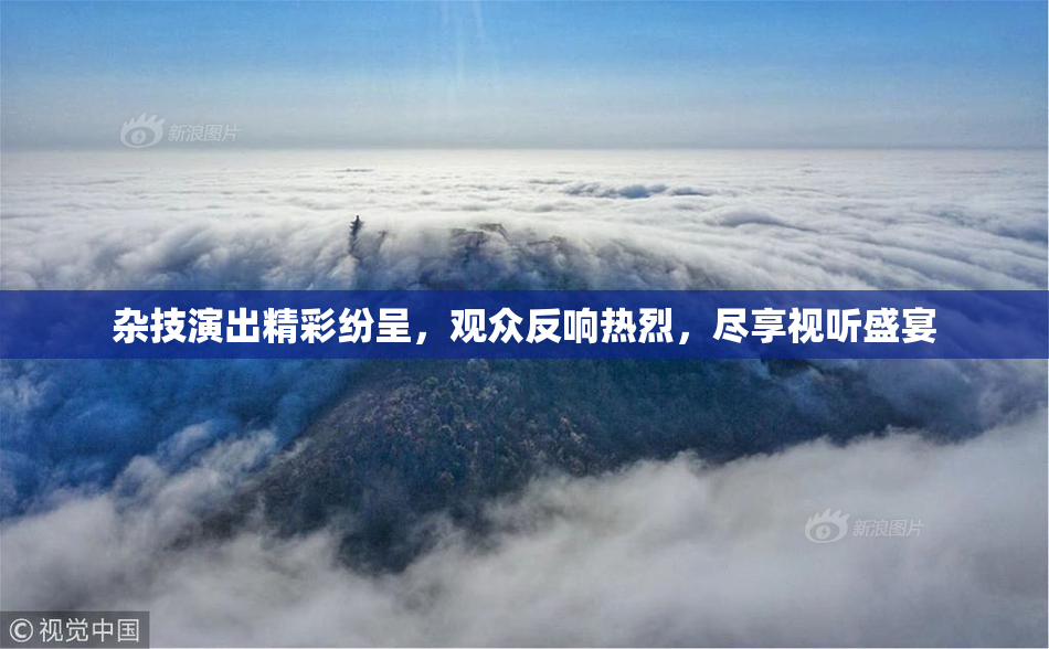 杂技演出精彩纷呈，观众反响热烈，尽享视听盛宴