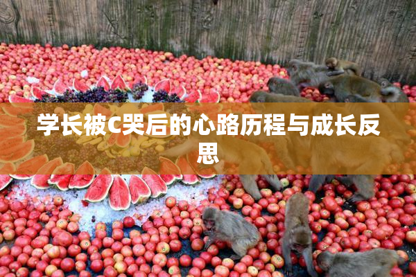 学长被C哭后的心路历程与成长反思