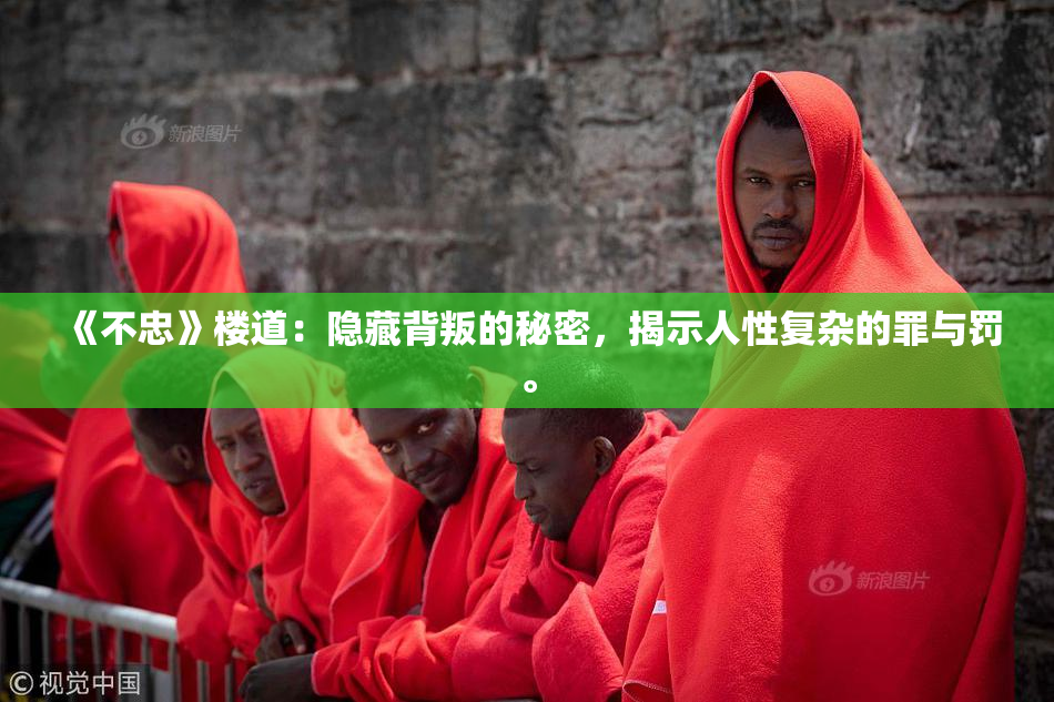 《不忠》楼道：隐藏背叛的秘密，揭示人性复杂的罪与罚。