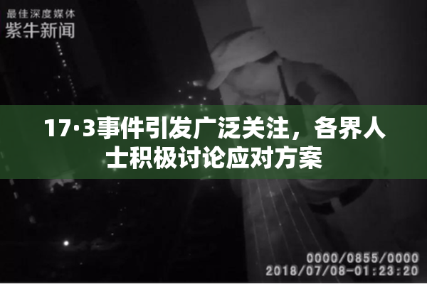 17·3事件引发广泛关注，各界人士积极讨论应对方案