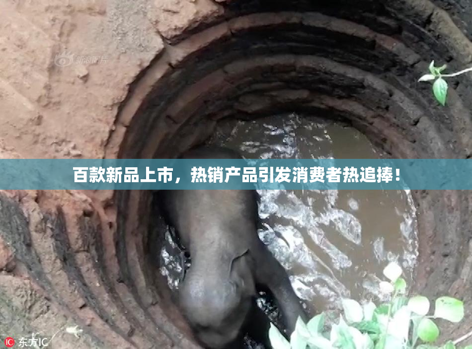 百款新品上市，热销产品引发消费者热追捧！