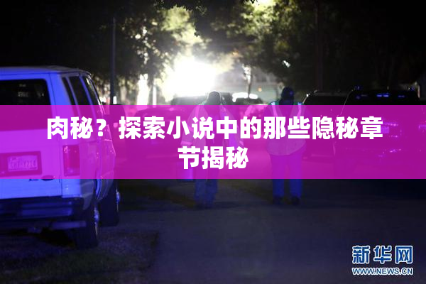 肉秘？探索小说中的那些隐秘章节揭秘