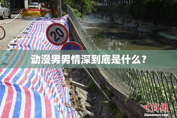 动漫男男情深到底是什么？