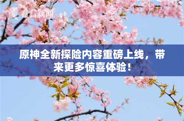 原神全新探险内容重磅上线，带来更多惊喜体验！
