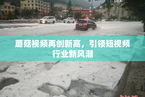 蘑菇视频再创新高，引领短视频行业新风潮