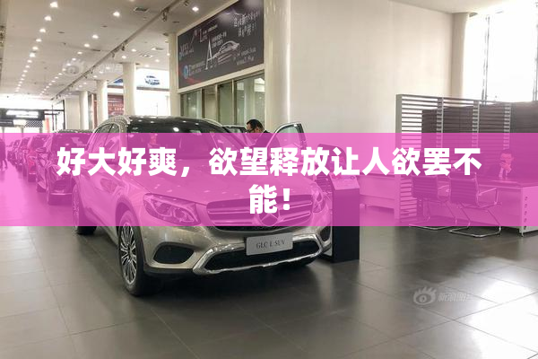 好大好爽，欲望释放让人欲罢不能！