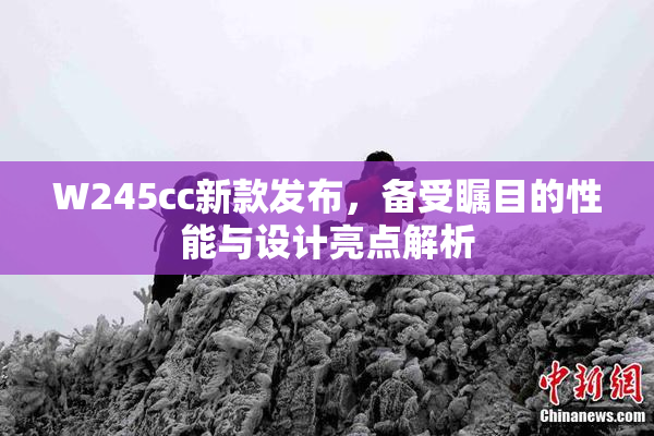 W245cc新款发布，备受瞩目的性能与设计亮点解析