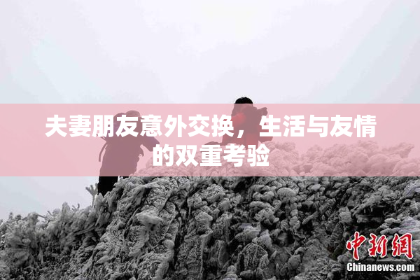 夫妻朋友意外交换，生活与友情的双重考验